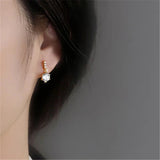 925 Silver Zircon Earrings for Women - Temperament Jewelry