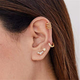925 Silver Oval Zircon Crown Stud Earrings Rainbow Crystal Leaf Branch Ear Studs