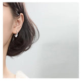 925 Sterling Silver Hoop Earrings for Women