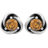 Eternity Circle 12 Months Birthstone Earring 925 Sterling Silver Birthday Gift