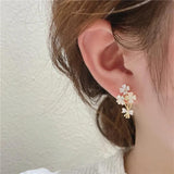 Korea Jewelry 14K Zircon Flower Earrings for Women