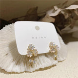 Korea Jewelry 14K Zircon Flower Earrings for Women