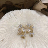 Korea Jewelry 14K Zircon Flower Earrings for Women