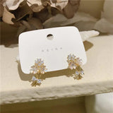 Korea Jewelry 14K Zircon Flower Earrings for Women