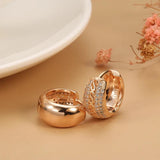 Rose Hoop Earrings for Women with Micro Zircon Texture
