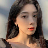 925 Silver Ring Earrings for Women, Personality Contracted Earrings
