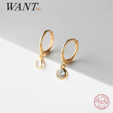 925 Silver Crystal Zircon Tassel Earrings for Women