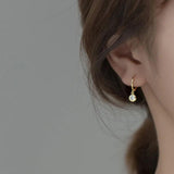 925 Silver Crystal Zircon Tassel Earrings for Women