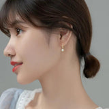 925 Silver Crystal Zircon Tassel Earrings for Women
