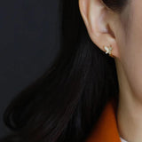 925 Silver Butterfly Small Hoop Earrings Zircon Circle Jewelry