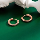 925 Silver Earrings French Style Party Jewelry 14k Plated Accessories