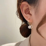 Zircon Crystal Smart Twin Love Earrings Silver Needle Sweet Earring Access.