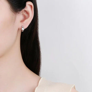 S925 Large Zircon Earrings Women Wedding Jewelry
