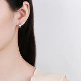 S925 Large Zircon Earrings Women Wedding Jewelry
