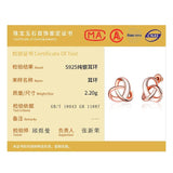 925 Silver Double Heart Earring For Woman Wedding Party