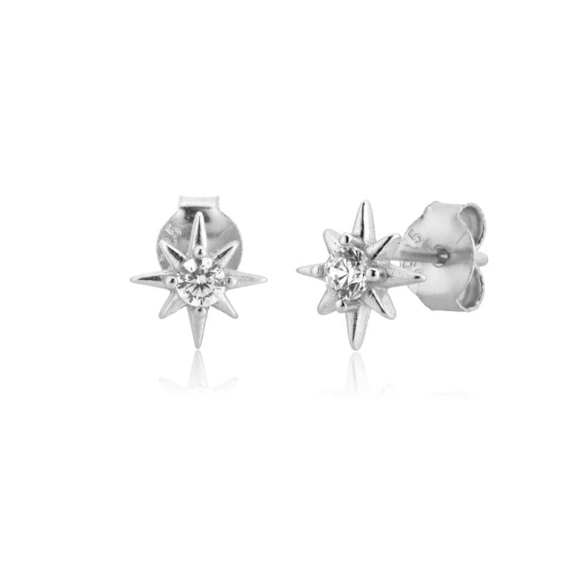 925 Silver Snow Flower Stud Earring Women Piercing Clips Jewelry