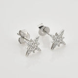 925 Silver Snow Flower Stud Earring Women Piercing Clips Jewelry