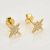 925 Silver Snow Flower Stud Earring Women Piercing Clips Jewelry