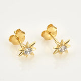 925 Silver Snow Flower Stud Earring Women Piercing Clips Jewelry