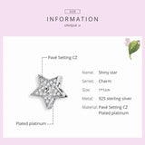 925 Sterling Silver Zircon Star Bead Pendant