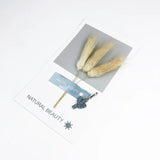Cactus Charms Pendant 925 Sterling Silver Ethnic Gift Women Girls