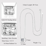 LaVixMia 316 Sterling Silver Radiant Cut Pendant Necklace CZ Zircon Jewelry Gift