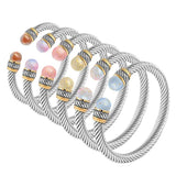 Twisted Stainless Steel Crystal Bangles for Women Gift Jewelry