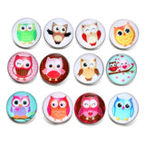 12pcs Owl Glass Charm Snap Button Jewelry for Bracelet Snap KZ0529