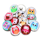 12pcs Owl Glass Charm Snap Button Jewelry for Bracelet Snap KZ0529