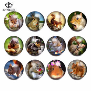 12pcs Squirrel Glass Charms Snap Button Jewelry For 20mm Snaps Bracelet