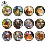 12pcs Squirrel Glass Charms Snap Button Jewelry For 20mm Snaps Bracelet