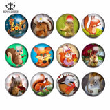 12pcs Squirrel Glass Charms Snap Button Jewelry For 20mm Snaps Bracelet