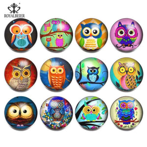 12pcs/lot Owl Mixed 18mm Glass Snap Button Charm for Snap Bracelet