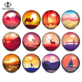12pcs/lot Owl Mixed 18mm Glass Snap Button Charm for Snap Bracelet