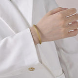 Women's Titanium Steel Charm Mesh Bracelets