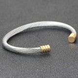 Classical High Stainless Steel Punk Gold/Silver Twist Cable Wire Bangle