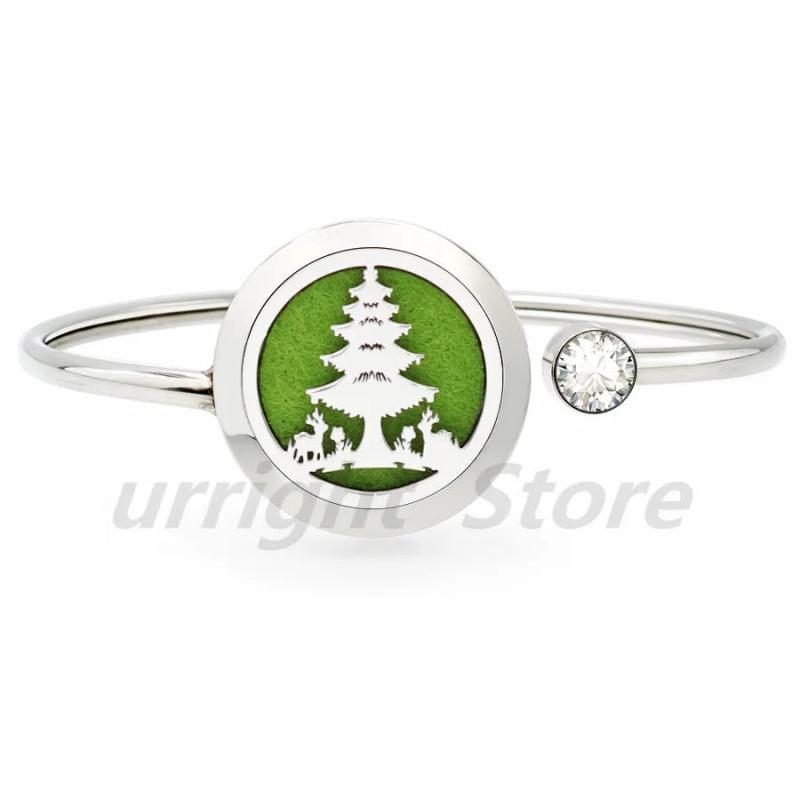 Dino Dog Bone Heart 25mm EO Diffuser Locket Bangle Bracelet