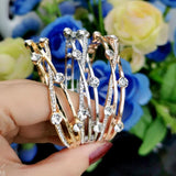 Charm Hollow Wide Bangle For Women Rose Silver Cubic Zirconia Bracelets