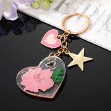 Heart Star Natural Dried Flower Keychain Keyring Love Immortal Daisy Leaf Plant