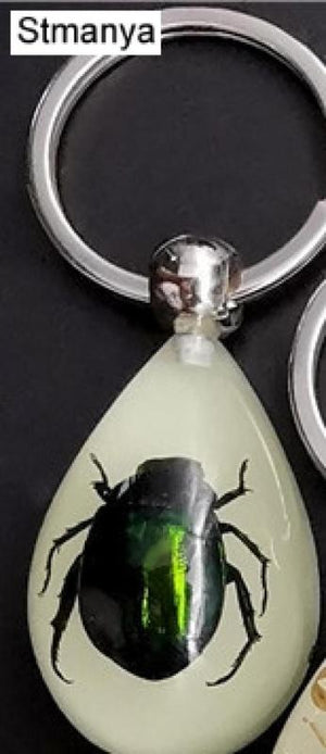 Luminous Artificial Insect Keychain Real Insect Resin Specimen Key Ring Pendant