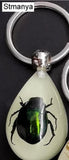 Luminous Artificial Insect Keychain Real Insect Resin Specimen Key Ring Pendant