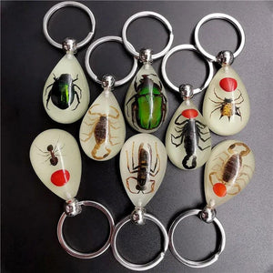 Luminous Artificial Insect Keychain Real Insect Resin Specimen Key Ring Pendant