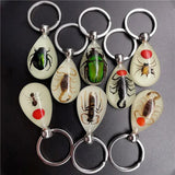Luminous Artificial Insect Keychain Real Insect Resin Specimen Key Ring Pendant