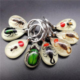 Luminous Artificial Insect Keychain Real Insect Resin Specimen Key Ring Pendant