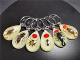 Luminous Artificial Insect Keychain Real Insect Resin Specimen Key Ring Pendant