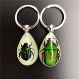 Luminous Artificial Insect Keychain Real Insect Resin Specimen Key Ring Pendant