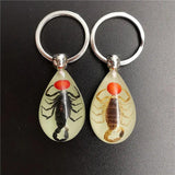 Luminous Artificial Insect Keychain Real Insect Resin Specimen Key Ring Pendant