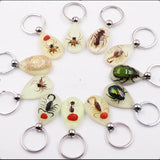 Luminous Artificial Insect Keychain Real Insect Resin Specimen Key Ring Pendant