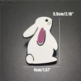 Lovely Rabbit Ear Acrylic Brooch for Women Girls