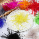 Colorful Ostrich Feather Brooch for Scarf Clip